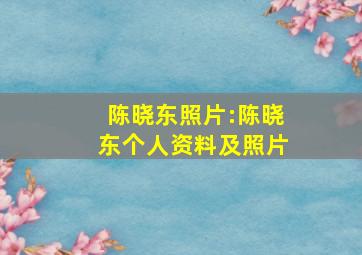 陈晓东照片:陈晓东个人资料及照片