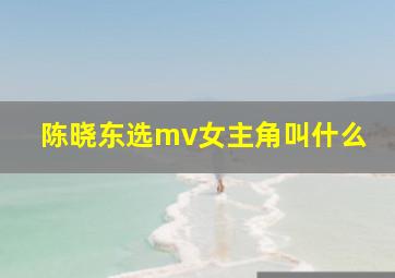 陈晓东选mv女主角叫什么