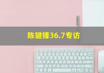 陈键锋36.7专访