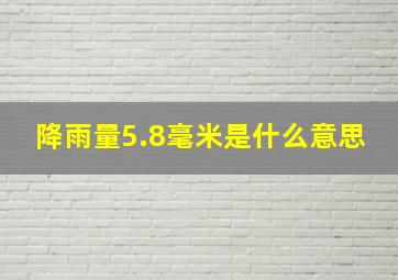 降雨量5.8毫米是什么意思