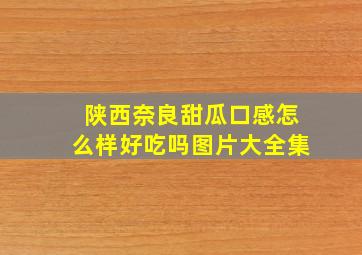 陕西奈良甜瓜口感怎么样好吃吗图片大全集