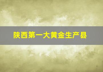 陕西第一大黄金生产县