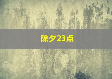 除夕23点