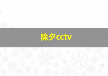 除夕cctv