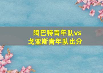 陶巴特青年队vs戈亚斯青年队比分