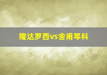 隆达罗西vs舍甫琴科