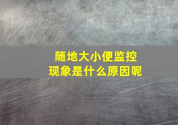 随地大小便监控现象是什么原因呢