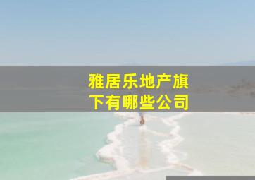 雅居乐地产旗下有哪些公司