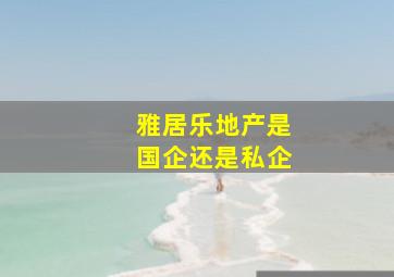 雅居乐地产是国企还是私企