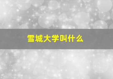 雪城大学叫什么