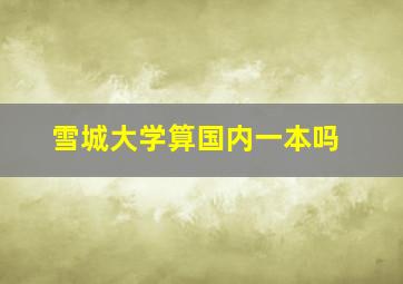 雪城大学算国内一本吗