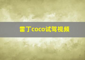 雷丁coco试驾视频