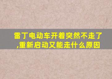 雷丁电动车开着突然不走了,重新启动又能走什么原因