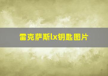 雷克萨斯lx钥匙图片