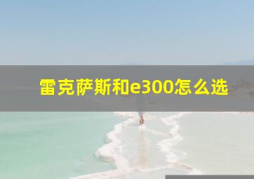 雷克萨斯和e300怎么选