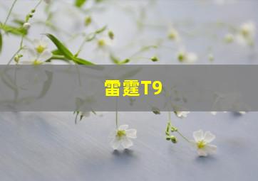 雷霆T9