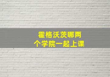 霍格沃茨哪两个学院一起上课