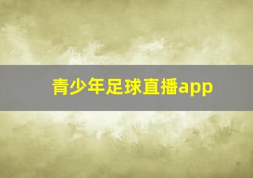 青少年足球直播app