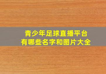 青少年足球直播平台有哪些名字和图片大全