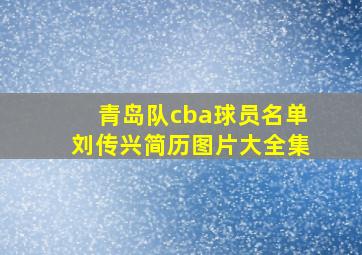 青岛队cba球员名单刘传兴简历图片大全集