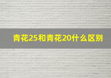 青花25和青花20什么区别