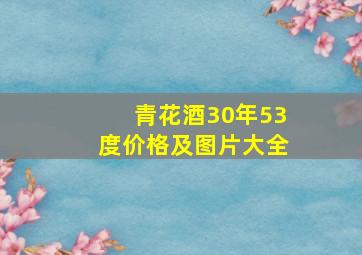 青花酒30年53度价格及图片大全