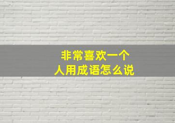 非常喜欢一个人用成语怎么说