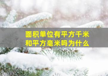 面积单位有平方千米和平方毫米吗为什么