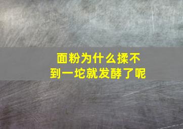 面粉为什么揉不到一坨就发酵了呢