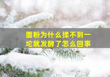 面粉为什么揉不到一坨就发酵了怎么回事