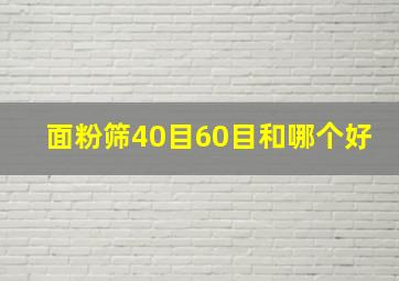 面粉筛40目60目和哪个好