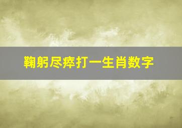 鞠躬尽瘁打一生肖数字