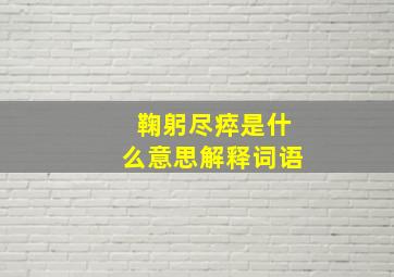 鞠躬尽瘁是什么意思解释词语