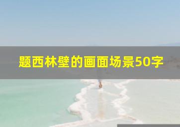 题西林壁的画面场景50字