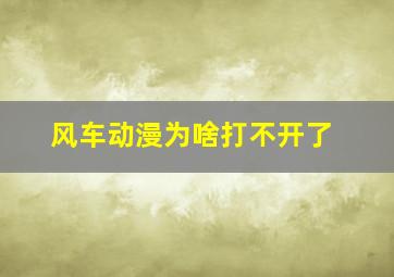 风车动漫为啥打不开了