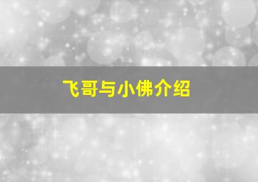 飞哥与小佛介绍