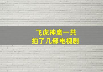 飞虎神鹰一共拍了几部电视剧