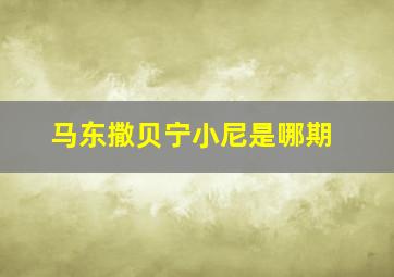 马东撒贝宁小尼是哪期