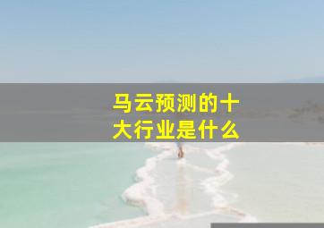 马云预测的十大行业是什么