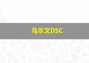 马尔文DSC