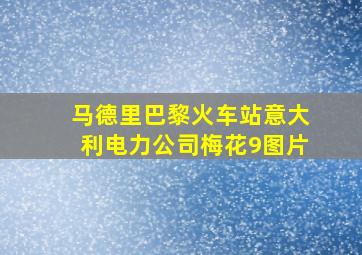 马德里巴黎火车站意大利电力公司梅花9图片