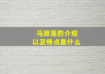 马蹄莲的介绍以及特点是什么