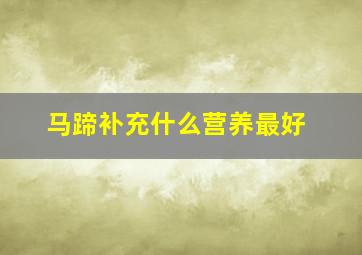 马蹄补充什么营养最好