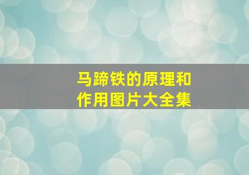 马蹄铁的原理和作用图片大全集