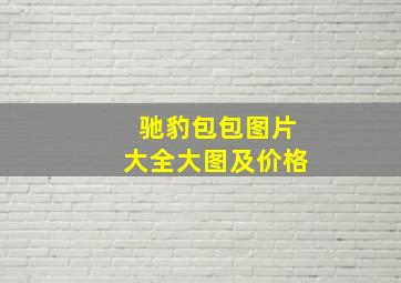 驰豹包包图片大全大图及价格