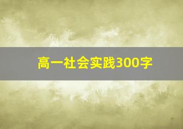 高一社会实践300字