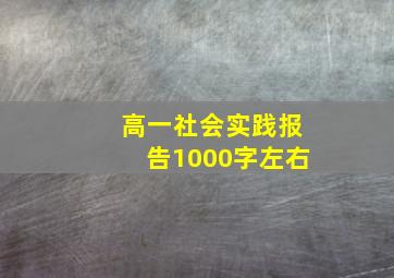 高一社会实践报告1000字左右