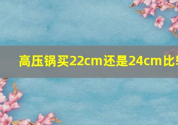 高压锅买22cm还是24cm比较