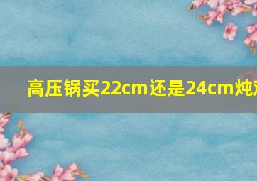 高压锅买22cm还是24cm炖鸡