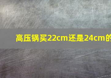 高压锅买22cm还是24cm的